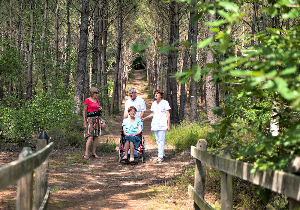 promenade en forêt entre patients et aides-soignants